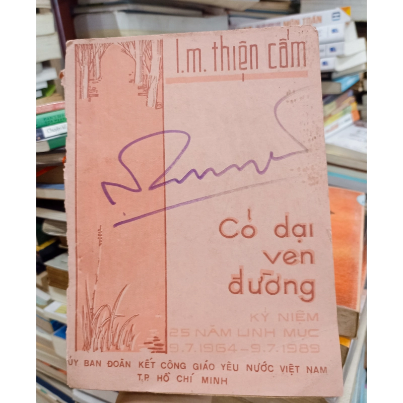 Cỏ Dại Ven Đường 🌻 521402