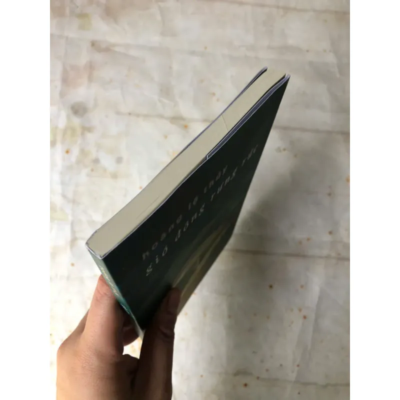 Gió Đông Rưng Rức - Hoàng Lệ Thủy 800987