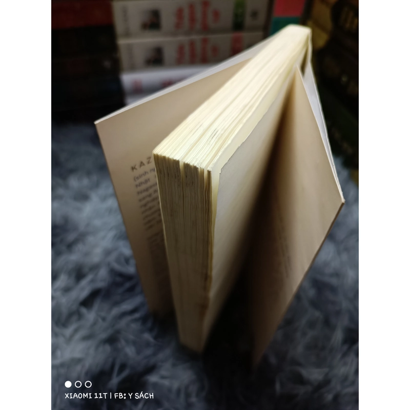 Cảnh đồi mờ xám 459887
