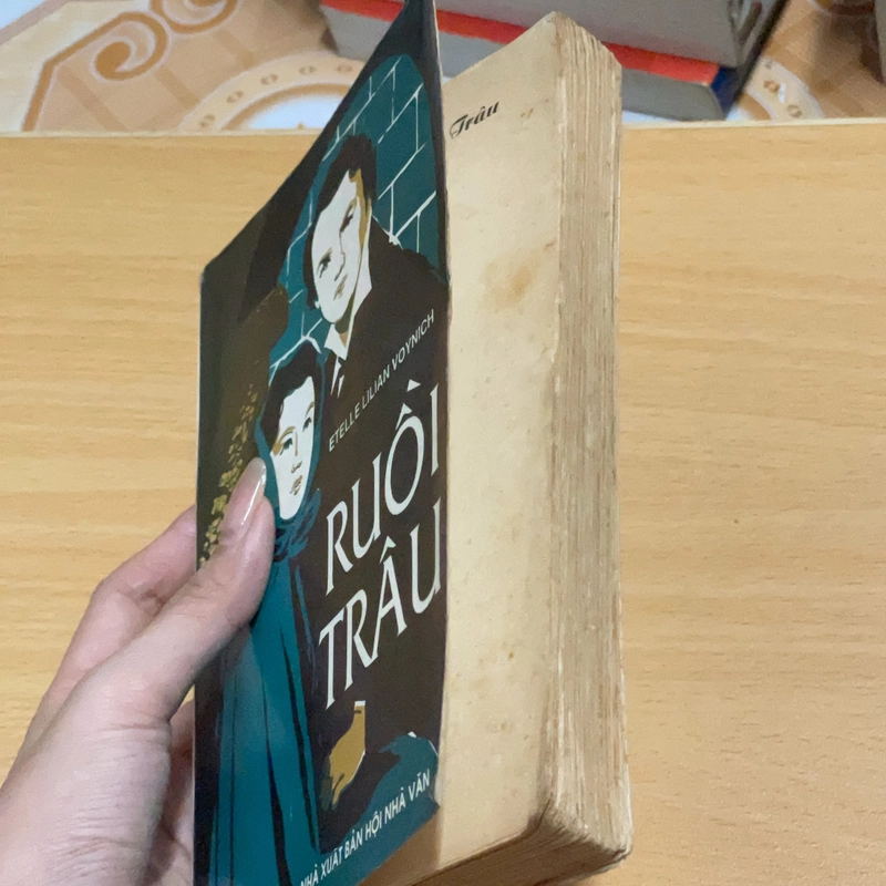Ruồi trâu. 541150