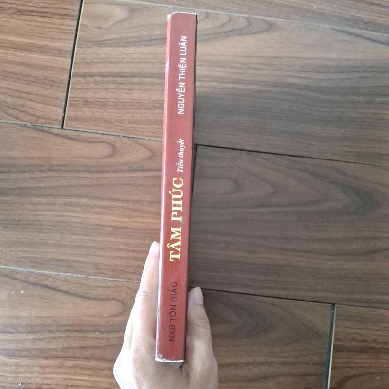 Tâm phúc - nguyễn thiện luân 517114