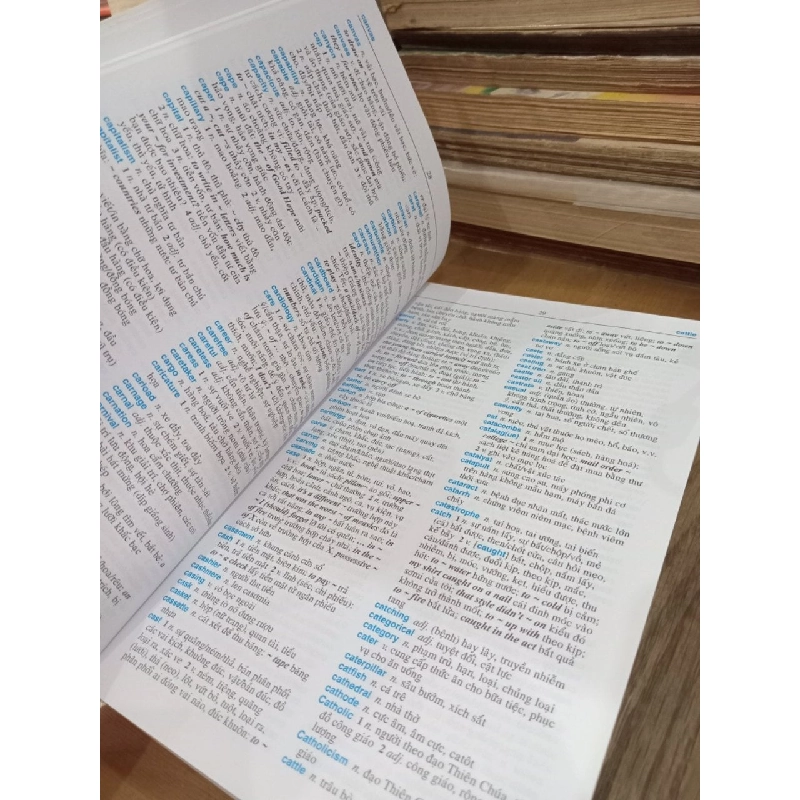 Tuttle English-Vietnamese Dictionary - Nguyễn Đình Hòa, Phan Văn Giưỡng 1020550