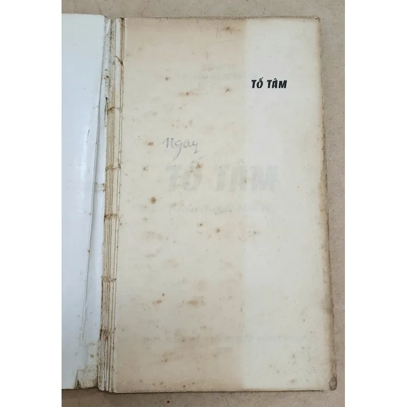 TỐ TÂM (tiểu thuyết tâm lý xã hội đầu tiên của VN viết bằng chữ Quốc ngữ) 735321