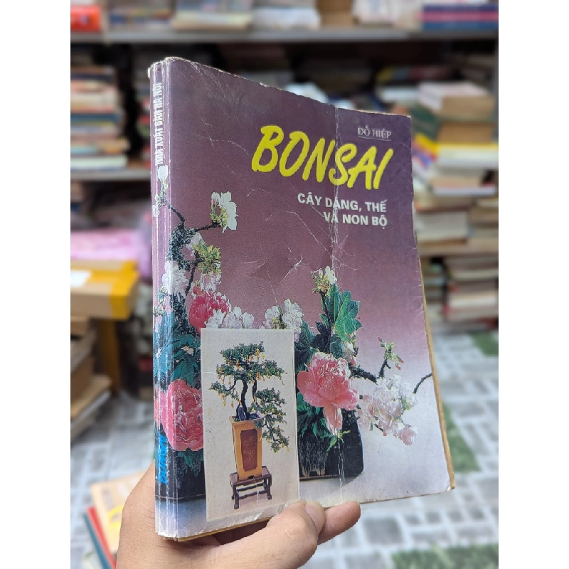 BONSAI CÂY DÁNG THẾ VÀ NON BỘ - ĐỖ HIỆP 300021