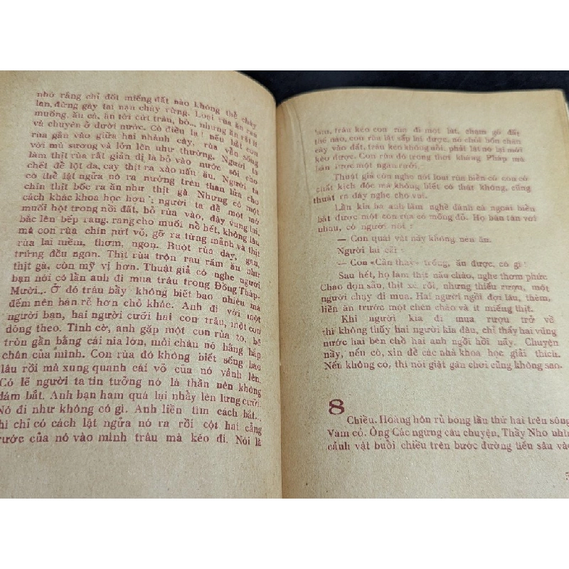 Người đi vào đồng tháp mười - Long Giang Tử 449384
