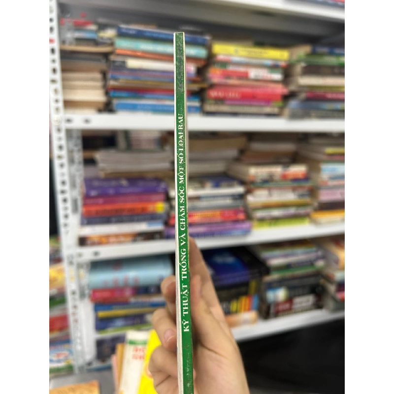 Kỹ Thuật Trồng Và Chăm Sóc Một Số Loại Rau của KS. Thái Hà - Đặng Mai 1062972