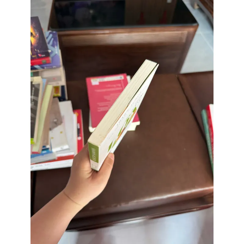 TIỀM NĂNG LỚN – Shawn Achor (Big Potential) - K3 1006577