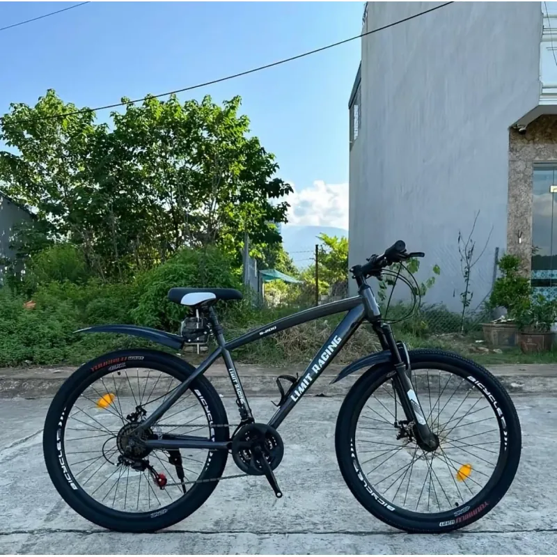 Xe đạp thể thao s200 1036489