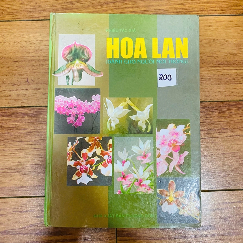 HOA LAN giành cho người mới trồng #TAKE 358346