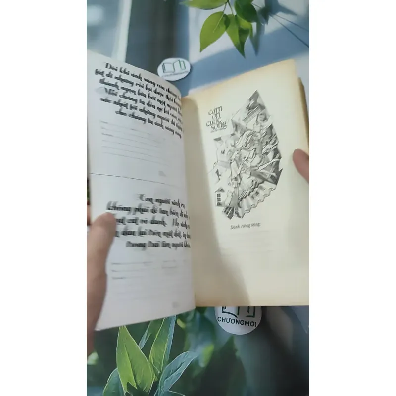 Cảm Ơn Cuộc Sống Một Lần Nữa 1018888