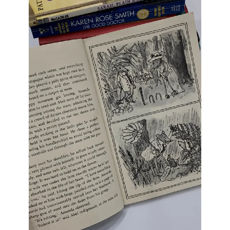 Abel's Island – William Steig 559611