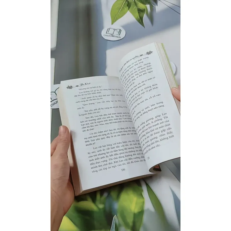 Có Duyên Nhất Định Sẽ Có Phận - Tào Đình 744694