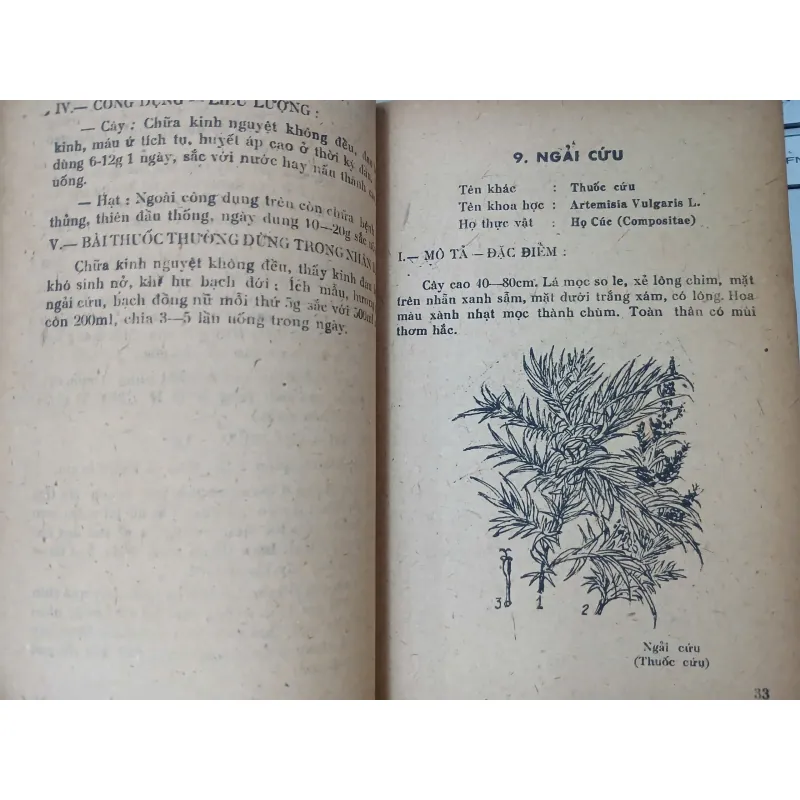 NHỮNG KINH NGHIỆM TRỒNG VÀ SỬ DỤNG MỘT SỐ CÂY THUỐC NAM 588883