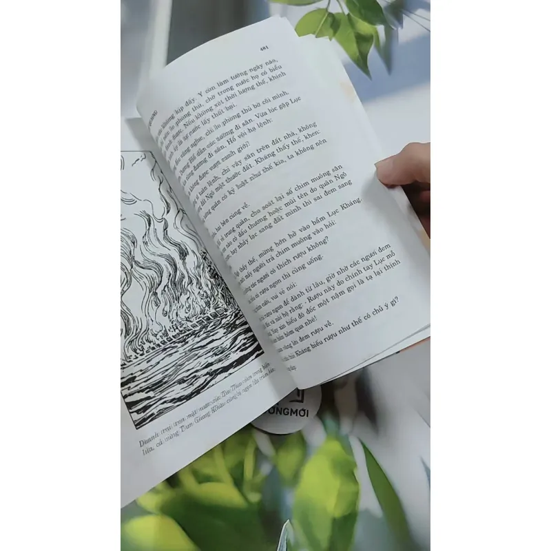 [MIỄN PHÍ BỌC SÁCH] Tam Quốc Bình Giảng - Nguyễn Tử Quang 744720