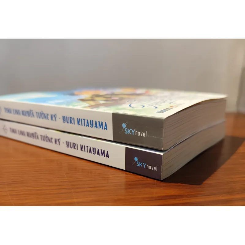 Tinh linh Huyễn Tưởng Ký 607546