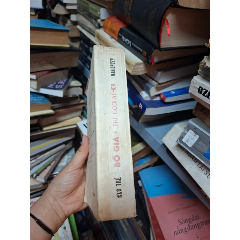 Bố già mariopuzo 937397