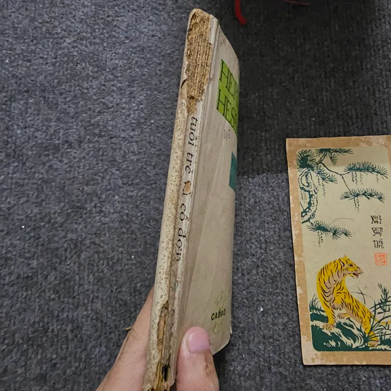 Tuổi trẻ và cô đơn - Hermann Hesse - xuất bản 1968 755383