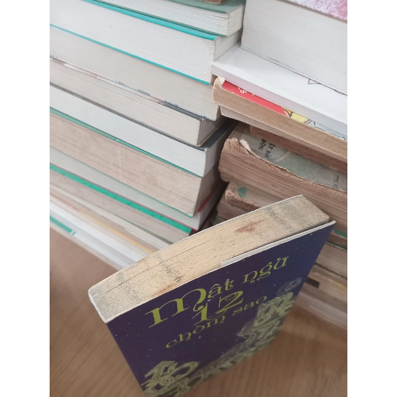 Mật ngữ 12 chòm sao 121524