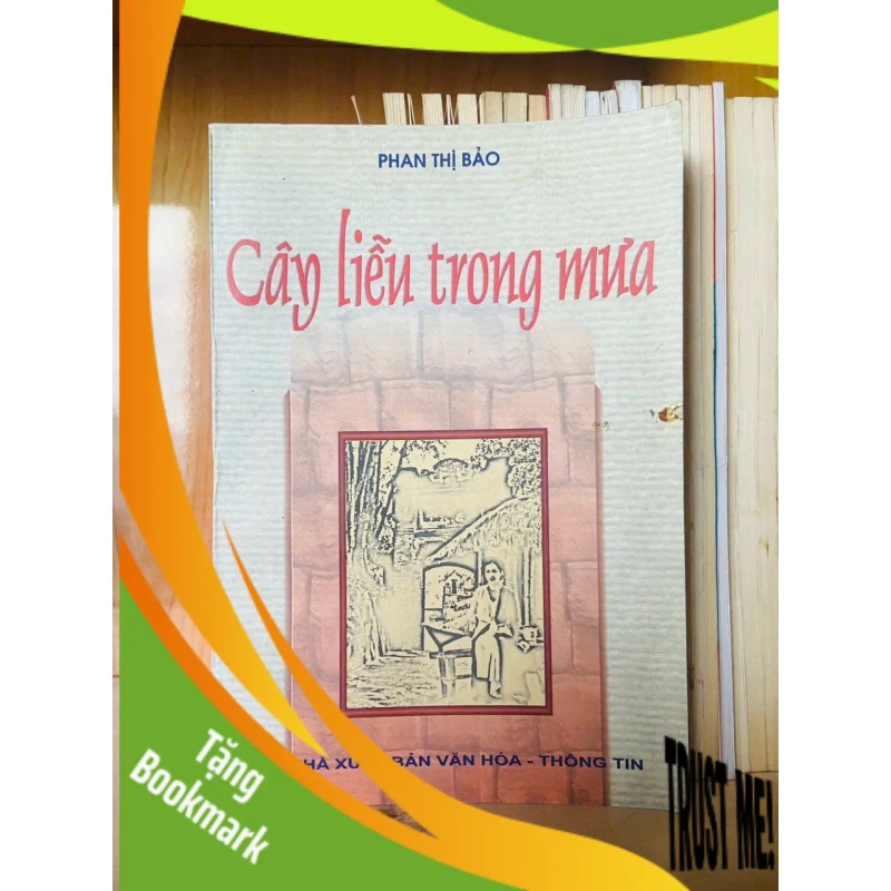 (TẶNG BOOKMARK) Cây liễu trong mưa - Phan Thị Bảo - VĂN HỌC - RBK1211 940844