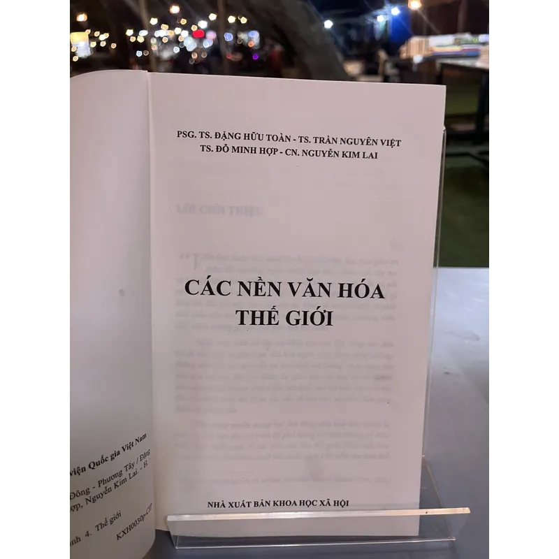 CÁC NỀN VĂN HÓA THẾ GIỚI - ĐẶNG HỮU TOÀN chủ biên 723429