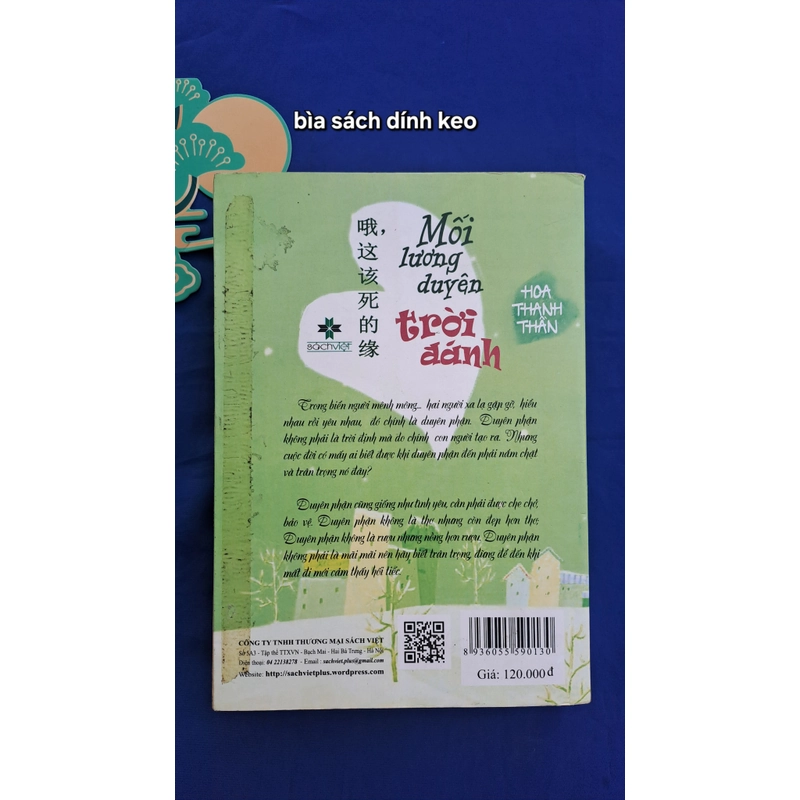 Mối lương duyên trời đánh 324986