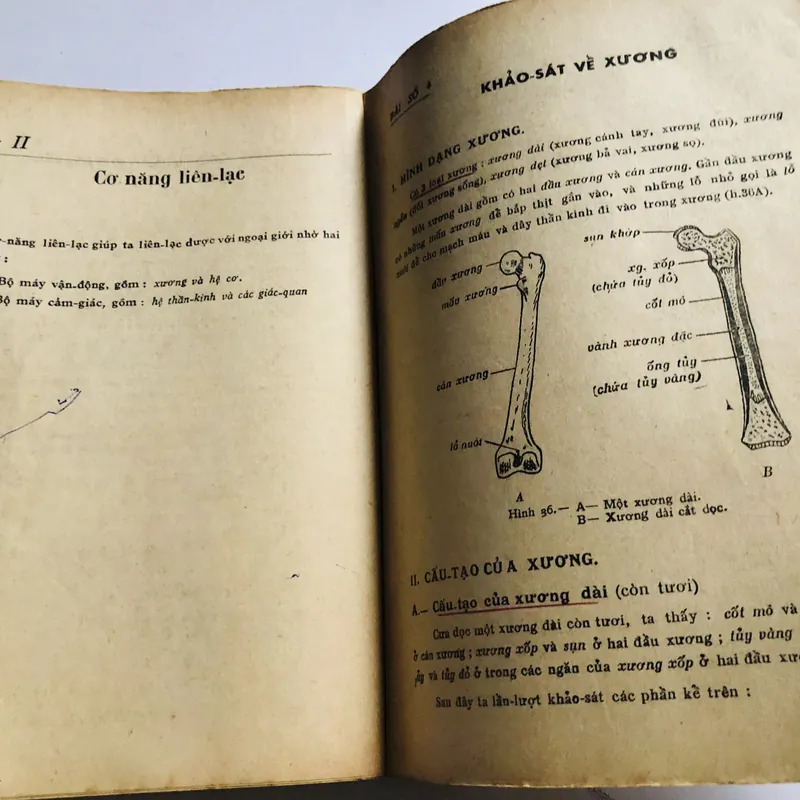 📗 VẠN VẬT HỌC LỚP 12 A 571062