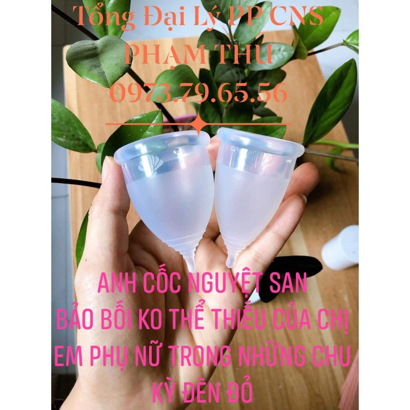 Cốc Nguyệt San Mỹ 384353