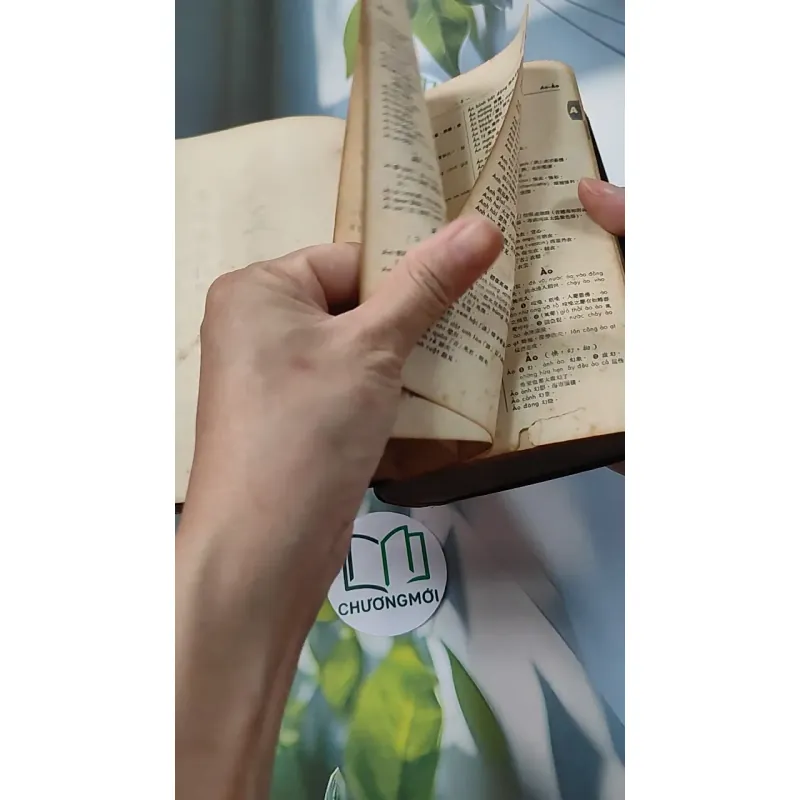 [MIỄN PHÍ BỌC SÁCH] Từ Điển Việt Hán Tối Tân 749407