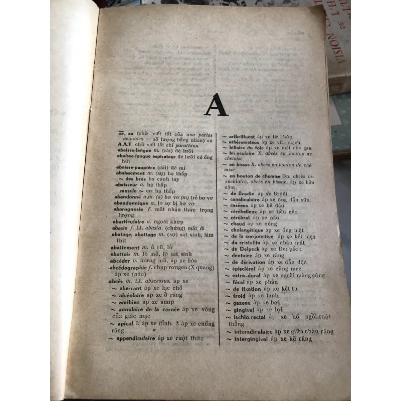 Từ điển y dược pháp việt  1006317