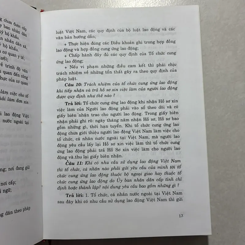 Hỏi đáp về lao động Việt Nam làm việc cho tổ chức cá nhân nước ngoài tại Việt Nam 759402