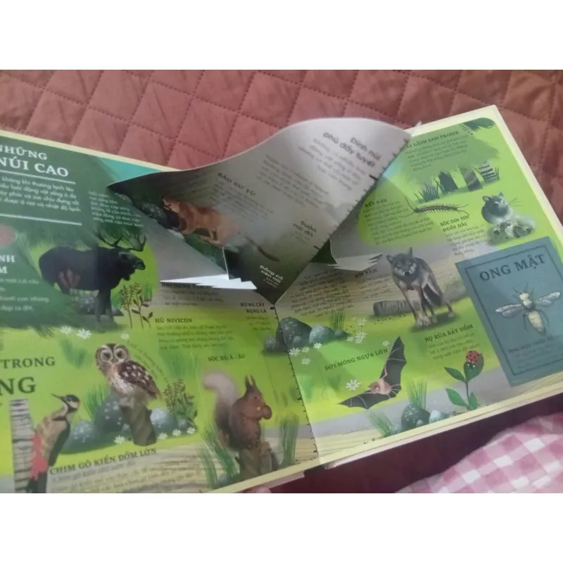 Atlas Đa Tương Tác Về Động Vật Hoang Dã 1009877