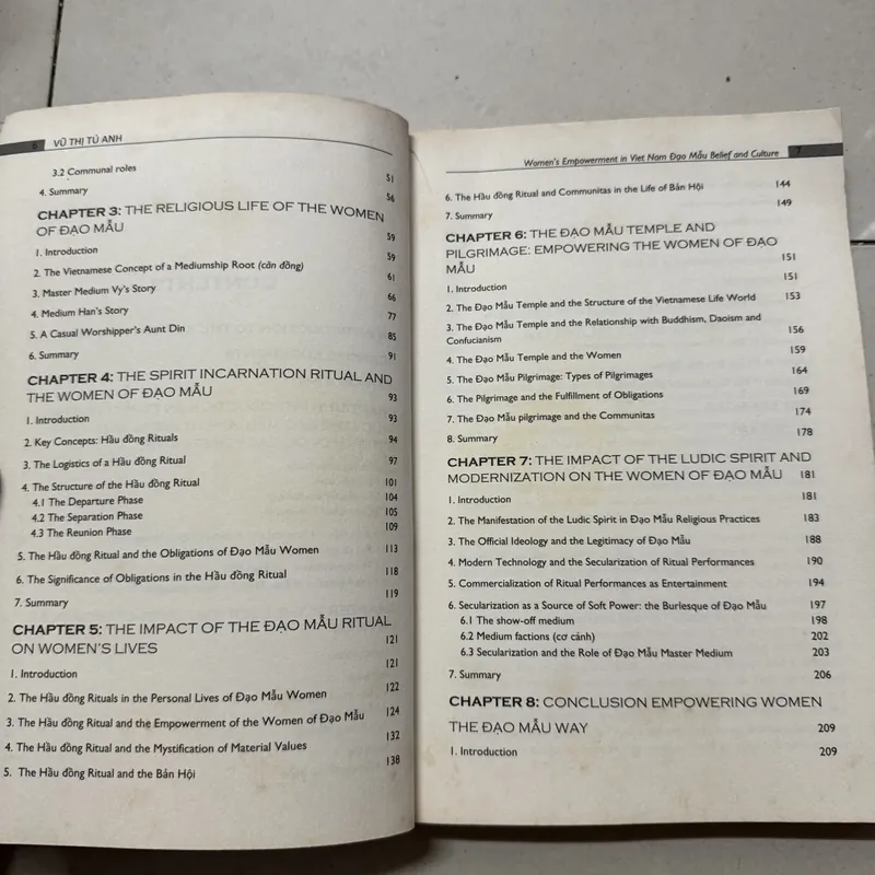 Đạo mẫu Việt Nam 699351