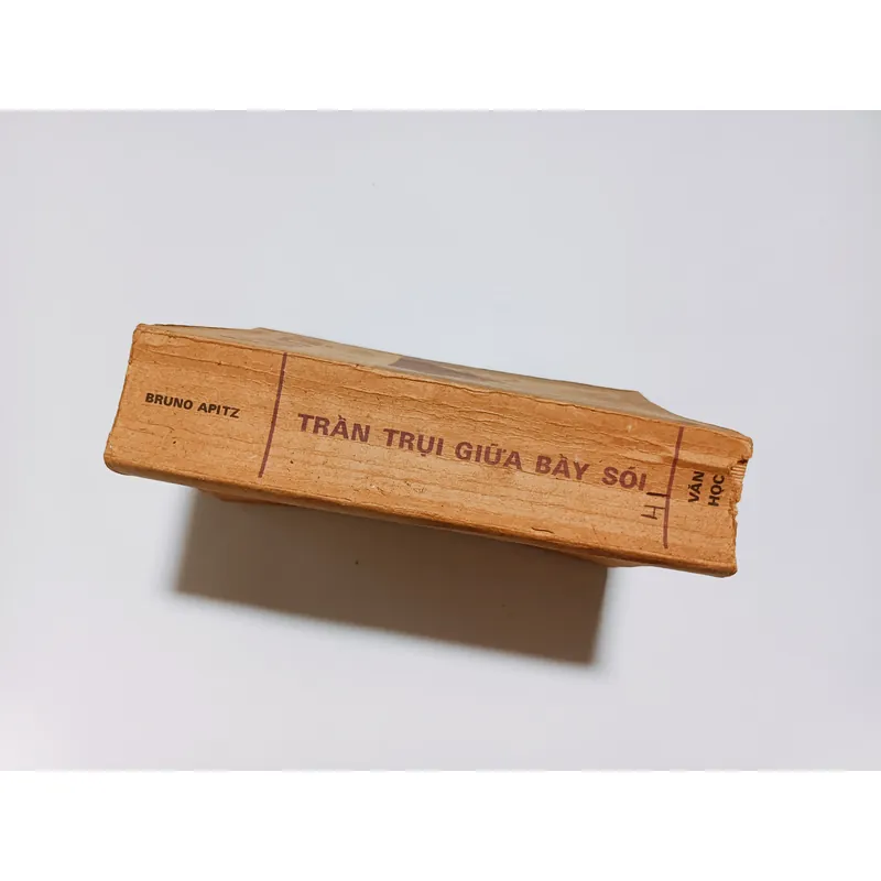 Trần Trụi Giữa Bầy Sói - Bruno Apitz 720392