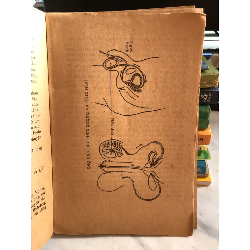 Mang nặng đẻ đau - hay là tất cả các vấn đề thai nghén- BS Trần Ngọc Ninh và Trần Việt Sơn 1001827