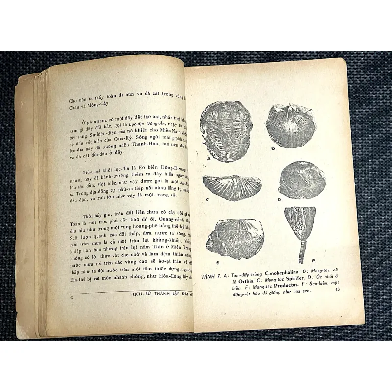 LỊCH SỬ THÀNH LẬP ĐẤT VIỆT 1000112