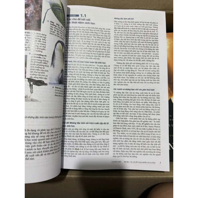 [Miễn ship] Sách Sinh Học Campbell Reece 707824