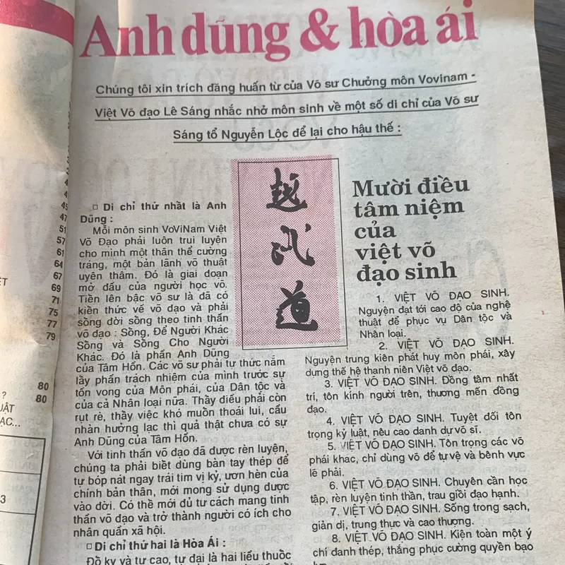 Việt võ đạo, Vovinam  713170