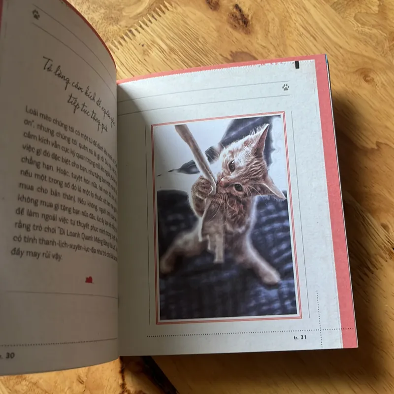 Ngủ thật lâu, yêu thật sâu 595864