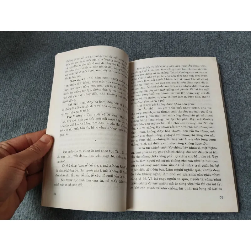 VIỆT NAM PHONG TỤC - PHAN KẾ BÍNH 729253