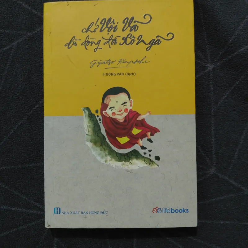 "Chớ vội vã dù dòng đời xô ngã" - Gyatso Rinpoche 999793