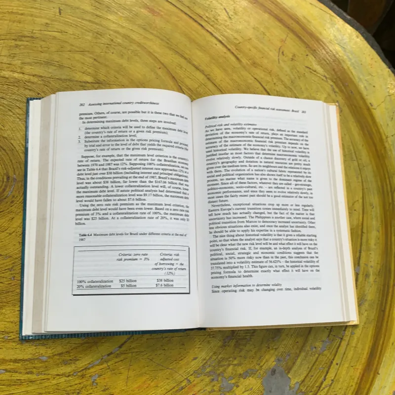 MANAGING RISK IN INTERNATIONAL BUSINESS Techniques and Applications  747252