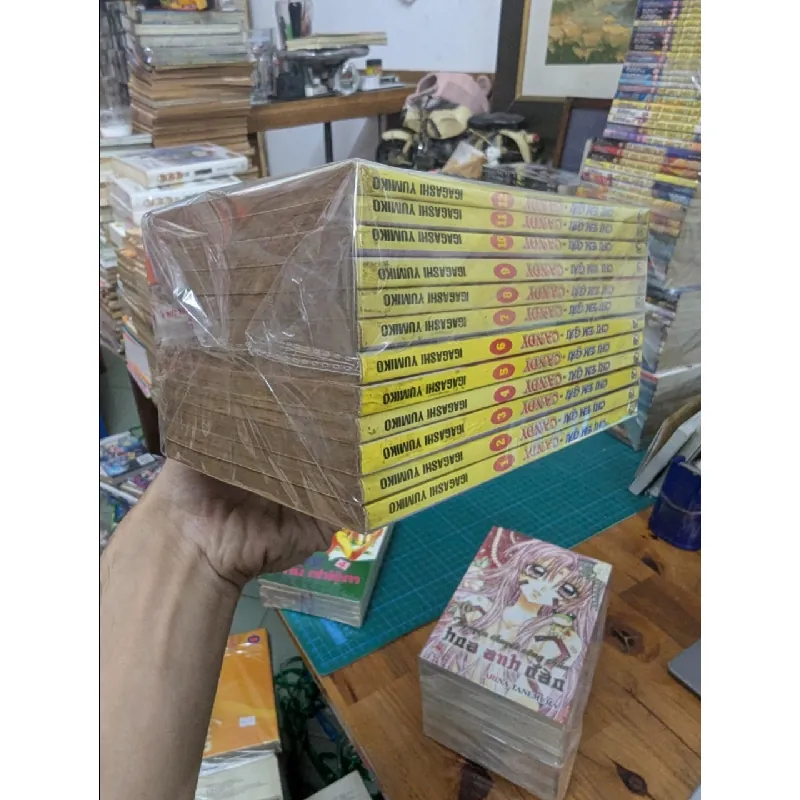 TRUYỆN TRANH Candy Chị Em Gái - Igagashi Yumiko 256904