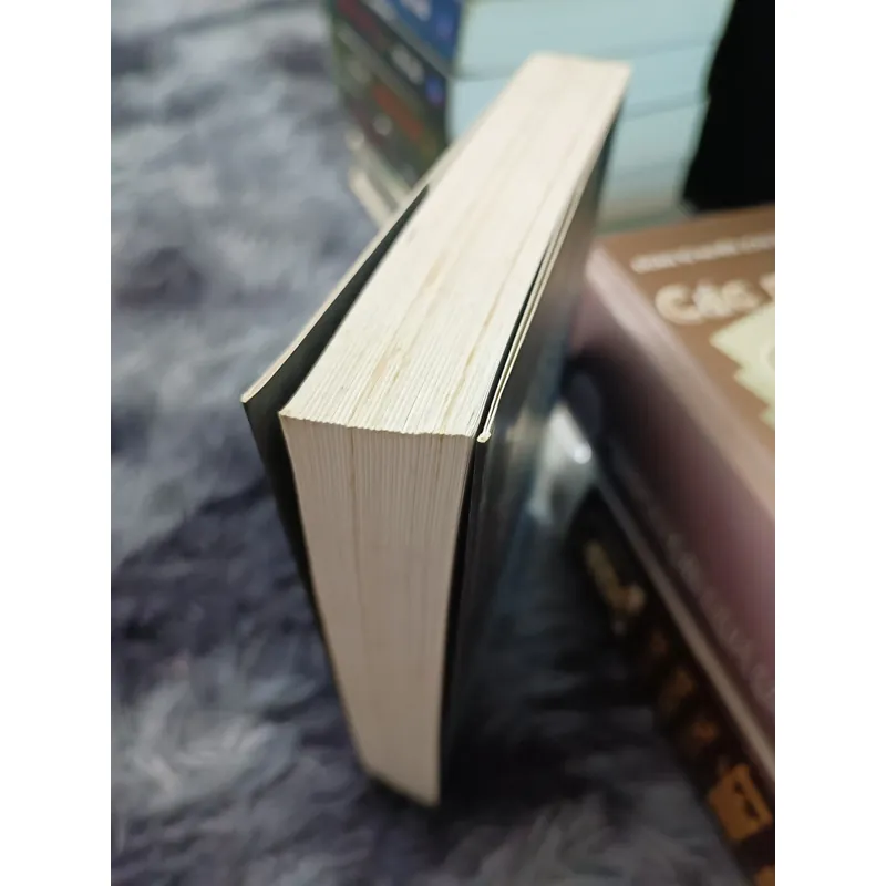 Moon palace (Paul Auster) 604268