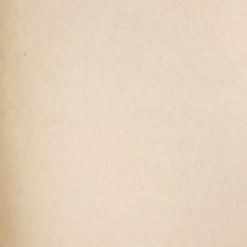 Những bí mật cuộc cách mạng 1-11-63 (Lê Tử Hùng) 574253