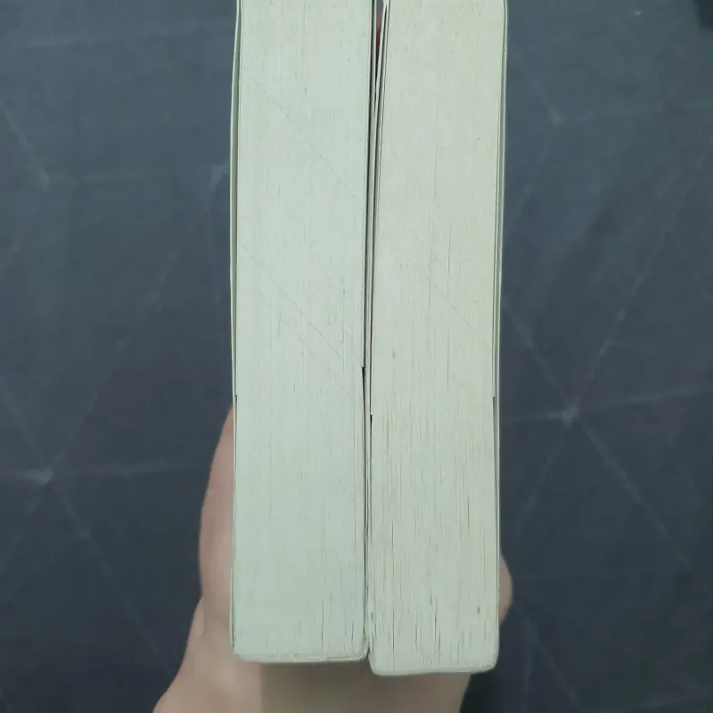 Combo "Hát tiễn hoa đào, chờ người quay lại" - Mi Bảo 757179