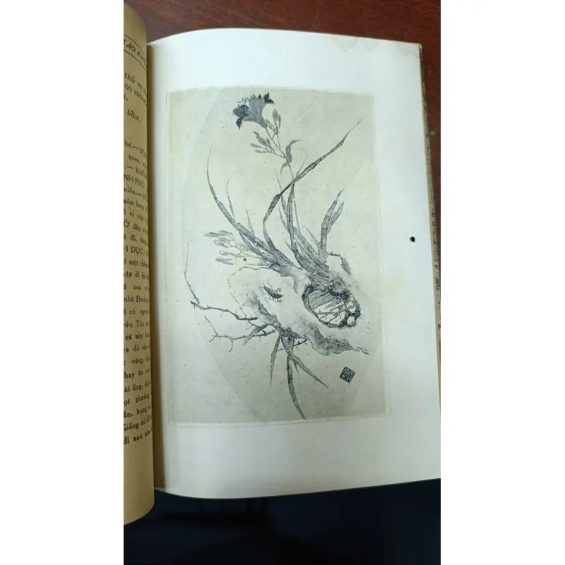 TRÊ CÓC - CHÚ GIẢI: NGUYỄN HỮU ÁI 715442