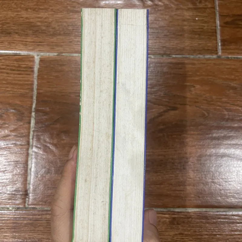 Máu Mực bộ 2 tập - Cornelia Funke (9) 974122