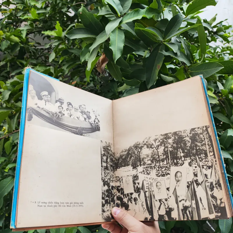 Dưới Lá Cờ Vẻ Vang Của Đảng 706340