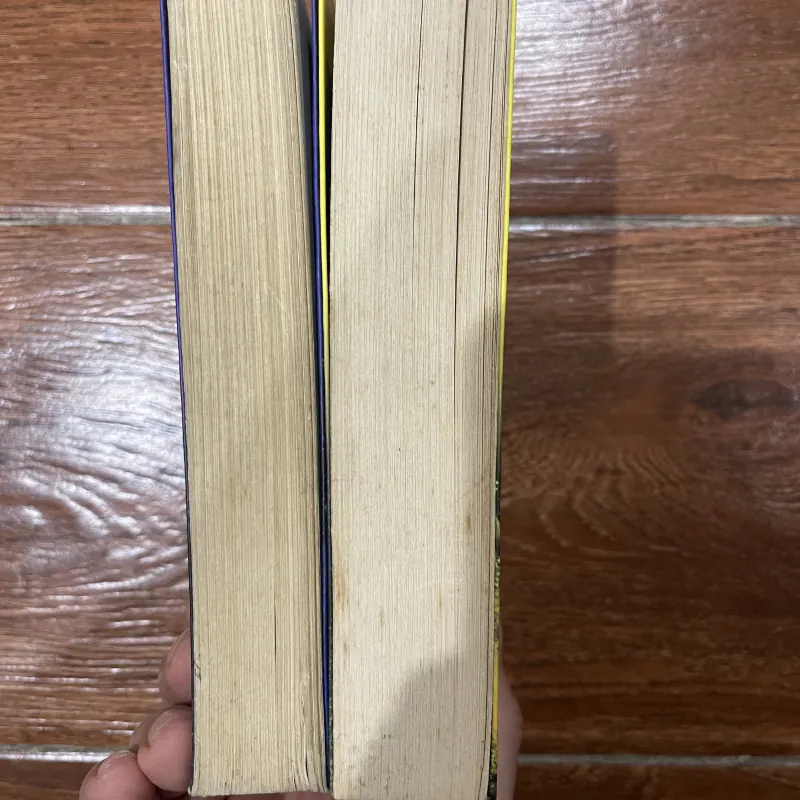 Hoả Kiếm 2 tập  744994