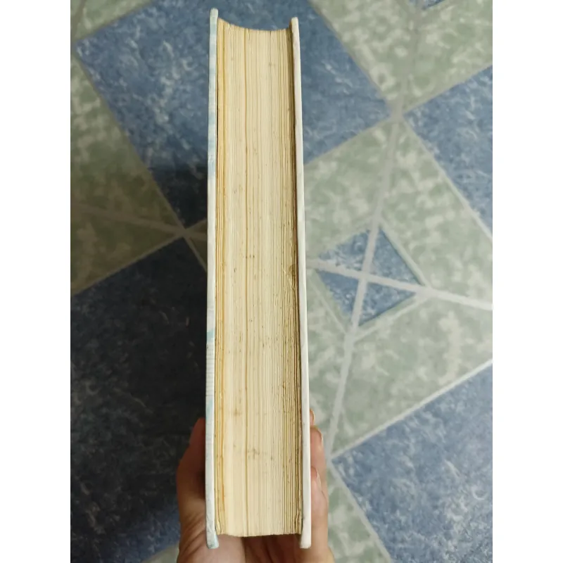 Việt Nam phong tình cổ lục - Vũ Ngọc Khánh 567987